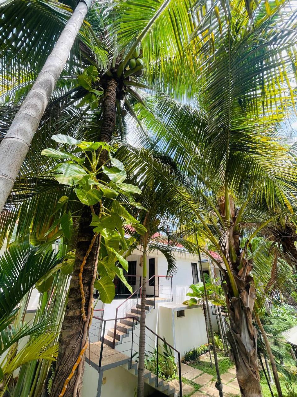 Apsara Greenland Boutique Villa & Resort Sziemreap Kültér fotó